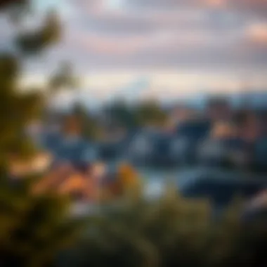 Scenic view of a Washington State neighborhood showcasing homes