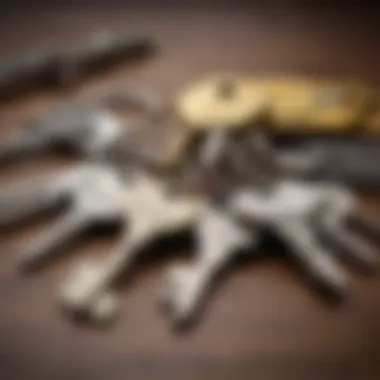 The Key to Unlocking Your Dream Home A diverse array of house keys symbolizing property ownership.
