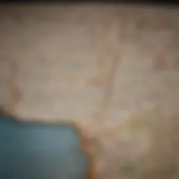 State map highlighting registered agents' role