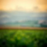 Farm landscape showcasing diverse crops and fields