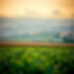 Farm landscape showcasing diverse crops and fields
