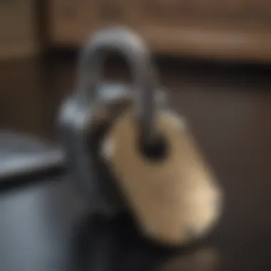 A secure lock symbolizing the protection of personal information related to loans