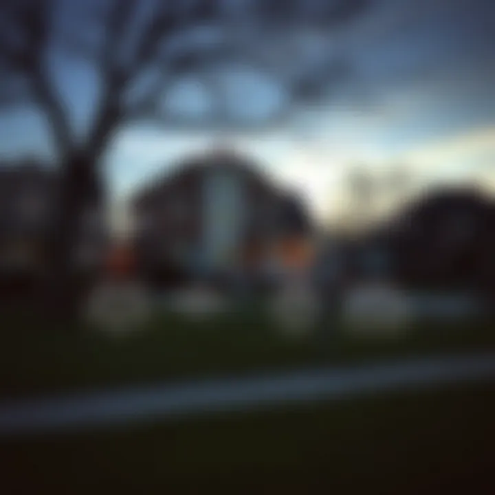 A diagram highlighting potential risks associated with purchasing foreclosed properties