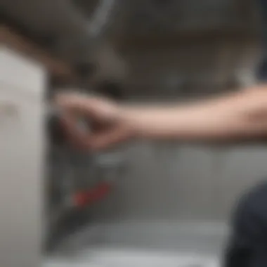 Plumbing system inspection under a sink